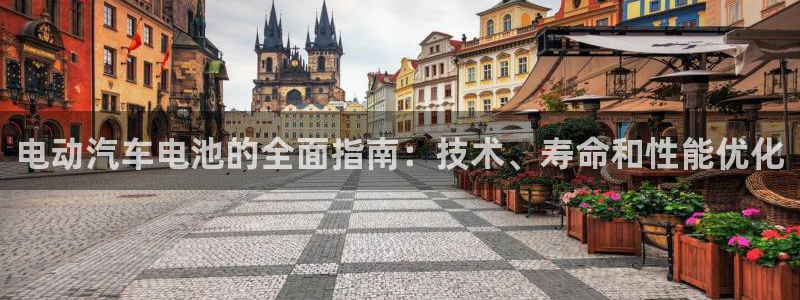 优发国际手机版网站入口：电动汽车电池的全