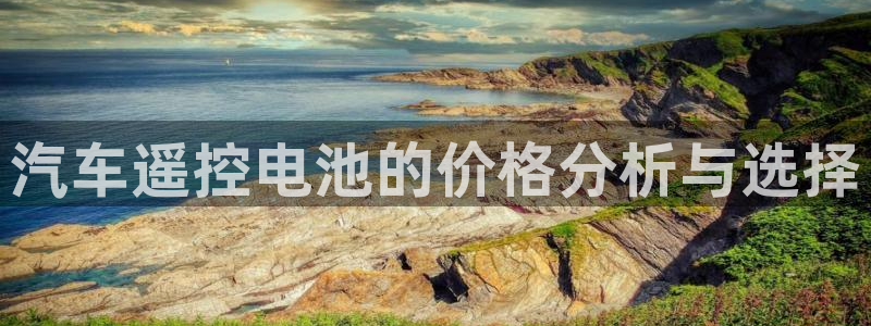 优发国际是什么：汽车遥控电池的价格分析与选择