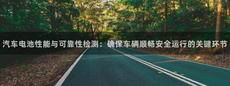 优发国际手机客户端怎么下载：汽车电池性能