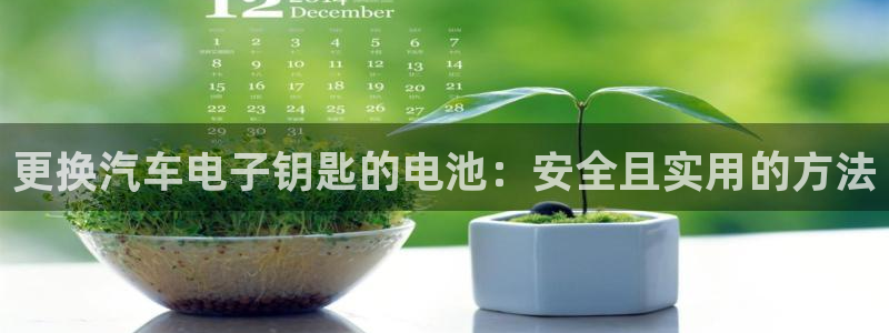 优发国际手机客户端官网：更换汽车电子钥匙的电池：安全且实用的方法