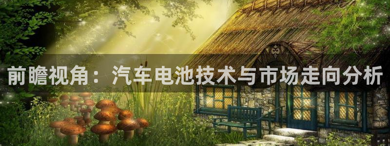优发国际网官网17k8：前瞻视角：汽车电池技术与市场走向分析