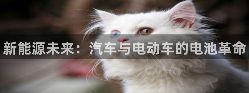 优发国际首页首页登录：新能源未来：汽车与电动车的电池革命