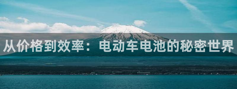 优发国际游戏官方网站入口：从价格到效率：电动车电池的秘密世界