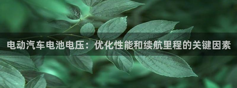 优发国际官网,首页：电动汽车电池电压：优化性能和续航里程的关键因素