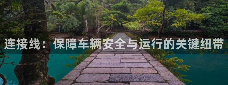 优发国际网站：连接线：保障车辆安全与运行的关键纽带