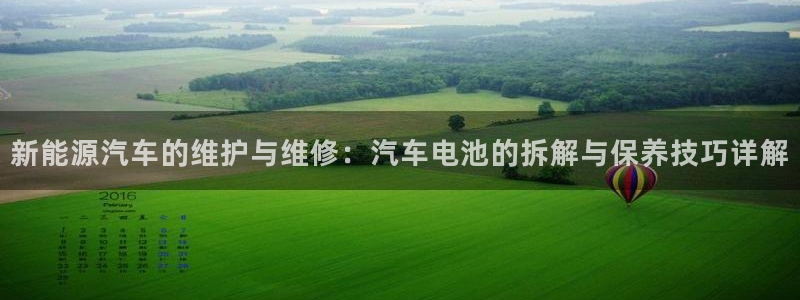 优发国际的官网是什么软件：新能源汽车的维护与维修：汽车电池的拆解与保养技巧详解