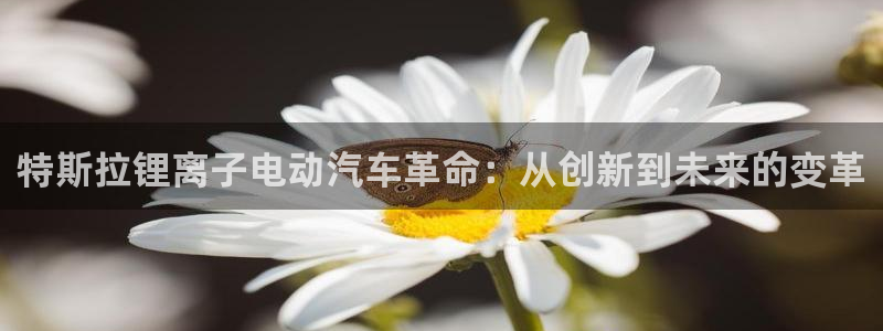 优发国际不出款了吗：特斯拉锂离子电动汽车革命：从创新到未来的变革