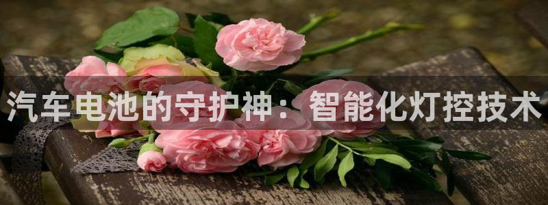 优发国际手机版网站入口：汽车电池的守护神：智能化灯控技术