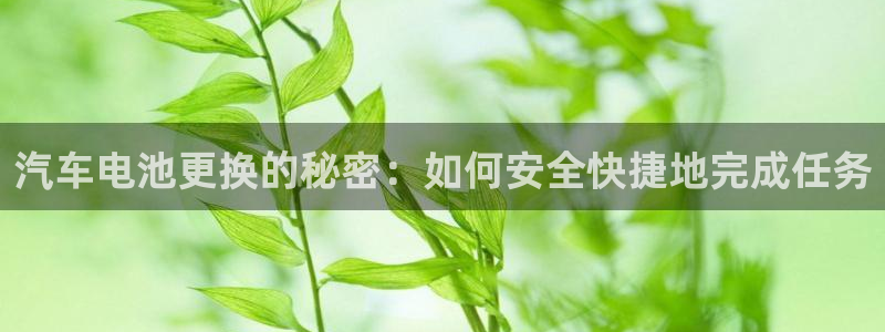 优发国际平台手机版下载：汽车电池更换的秘